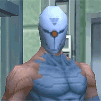 Gray Fox